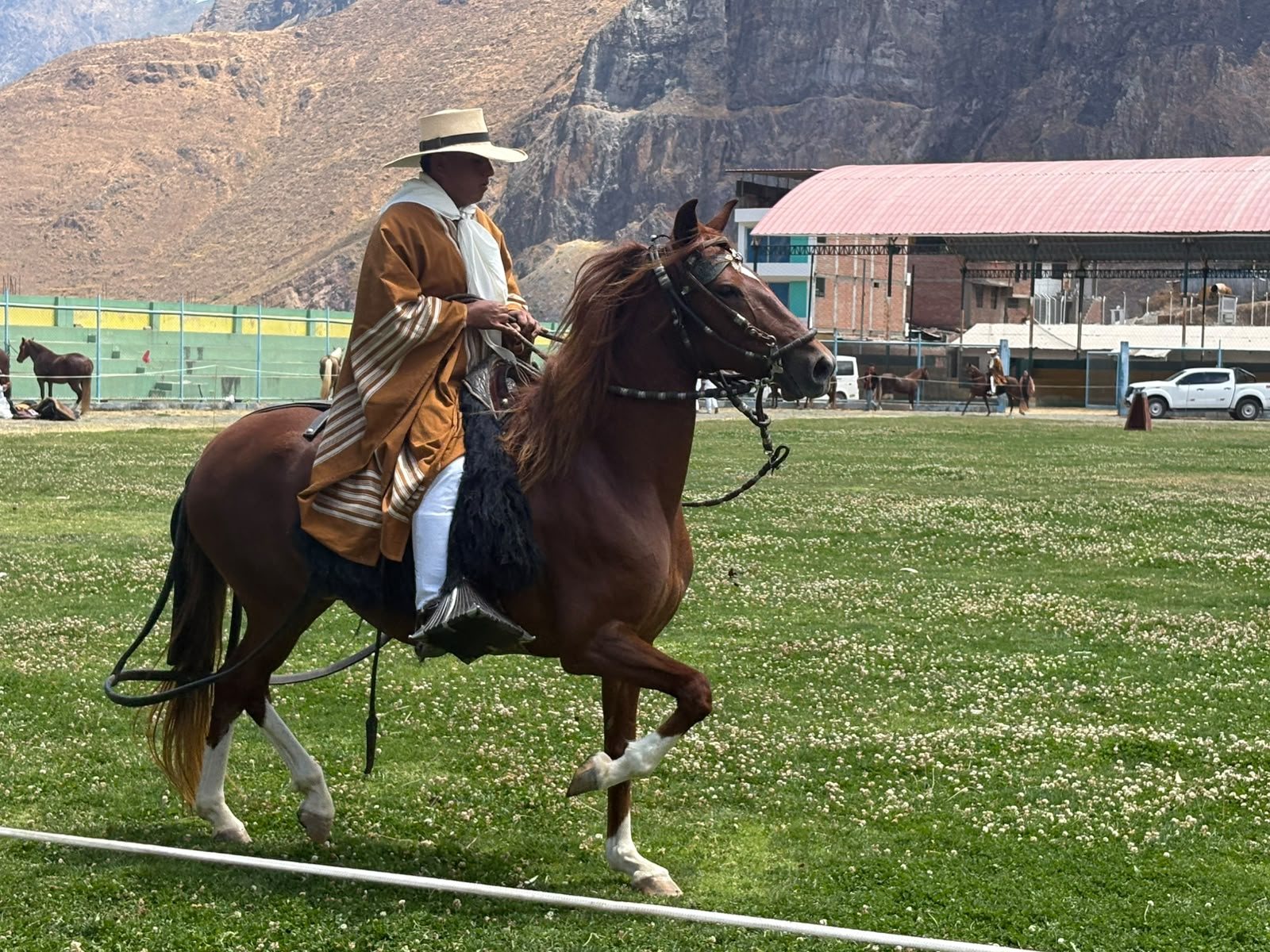 Chalán montando un caballo de paso en concurso
